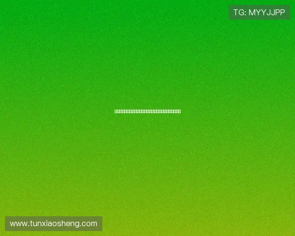 新濠锋娱乐场所怎么样为玩家提供的游戏环境和安全保障详解