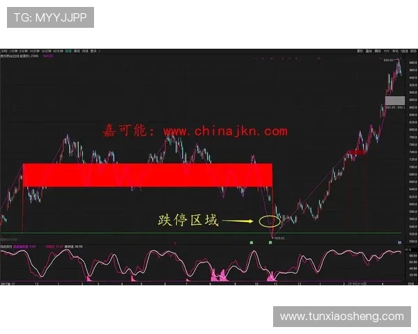 澳门黄金登录下载指南详解，快速注册登录流程全攻略助你轻松入门