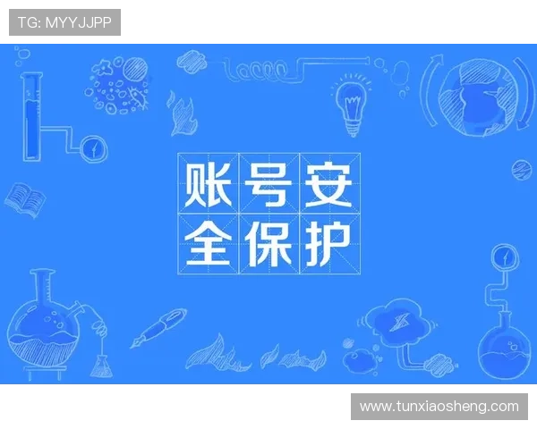 美高梅官方手机版安全保障措施与账号安全保护策略介绍